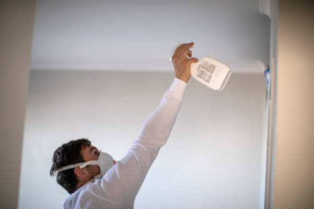 Mold Removal Process in Huguley, AL