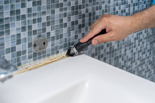 Best Attic Mold Removal  in Huguley, AL
