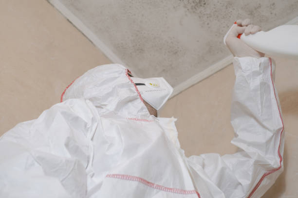 Huguley, AL Mold Removal Company